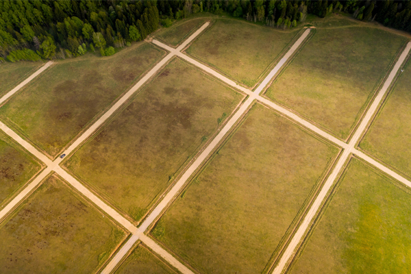 Plot